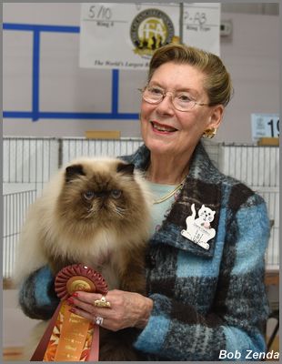 Playwickey's Bravo of Catbery Tail